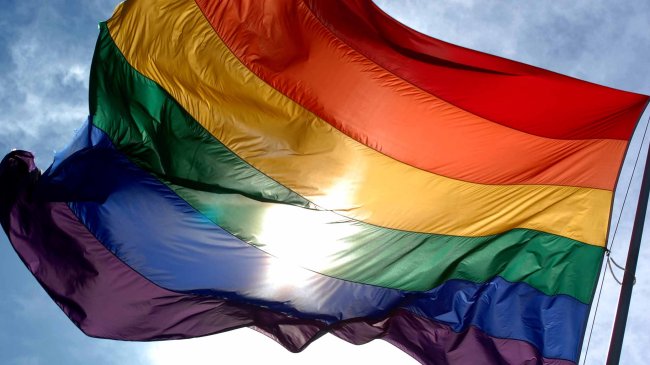 Alemania aprobó ley que permitirá a homosexuales adoptar hijos biológicos de su pareja