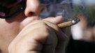 Ministra de Salud: Lo más probable es que la marihuana salga de las \