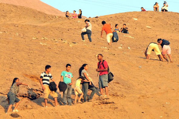 Experto y sismos en el Norte Grande: No basta con entrenar a la población