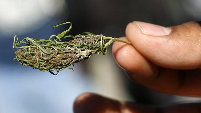 ¿Qué cambia con la salida de la marihuana de la categoría de 