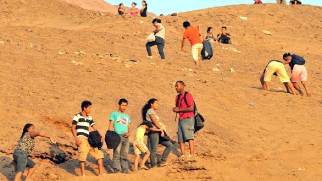 Experto y sismos en el Norte Grande: No basta con entrenar a la población