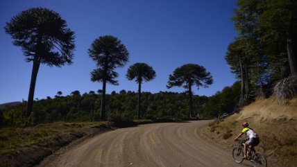 Este sábado se realizó una nueva versión de la carrera ciclística Vulkanbike