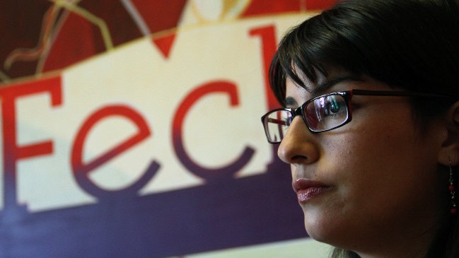 Las dudas de la Confech frente a la reforma educacional