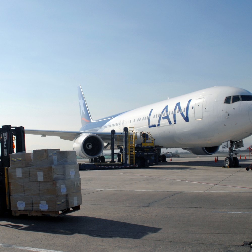 LAN anunció medidas para 