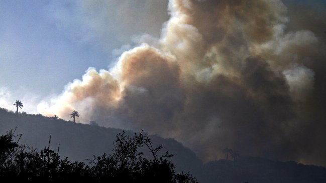 Onemi declaró dos alertas amarillas por incendios forestales en la región de Valparaíso