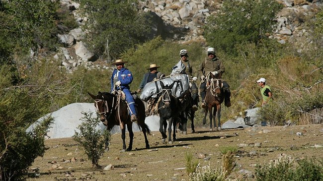 Encuentran muertos a hermanos arrieros desaparecidos en la precordillera de Combarbalá