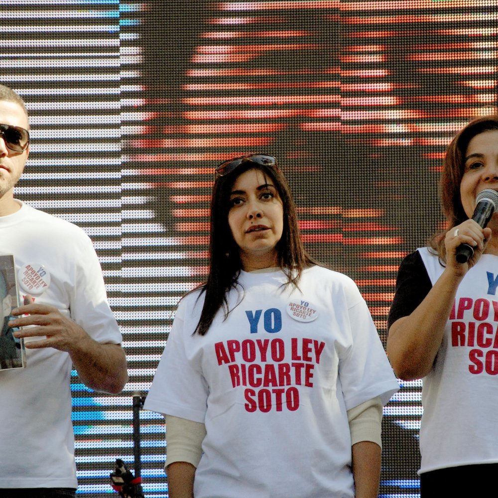 Más de 10 mil personas marcharon por la Ley Ricarte Soto