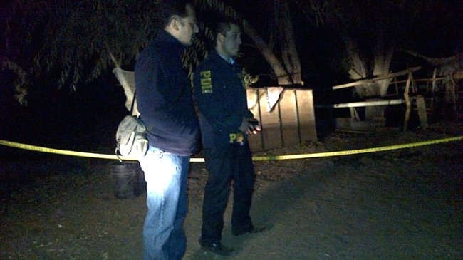 Perro fue sorprendido cargando el cráneo de un bebé en el hocico