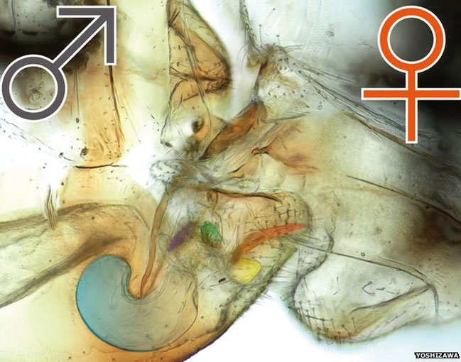 Imagen foto_00000001