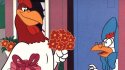 Lo Peor de lo Nuestro: Un "gallo" visitó El Diario de Cooperativa