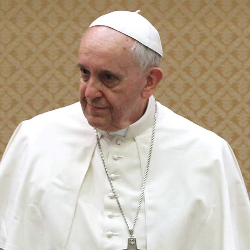 La petición de un senador UDI al Papa Francisco