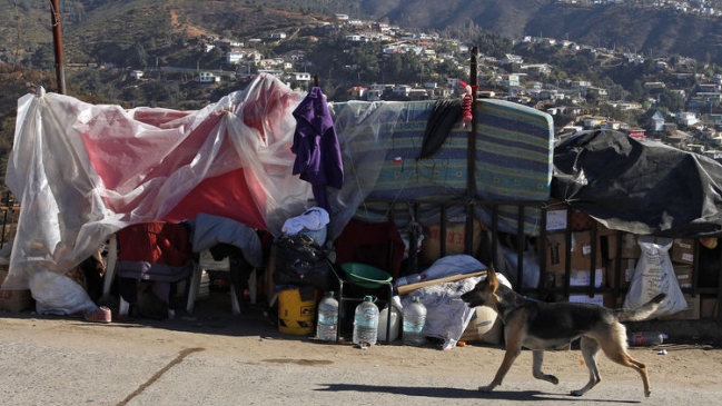 Municipio anunció recinto para mascotas de afectados en caso de lluvia en Valparaíso