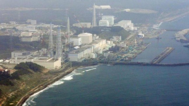 Radiación en bosques de Fukushima bajó 50 por ciento en los últimos dos años