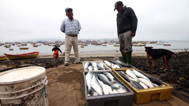El llamado de los pescadores artesanales para revisar el royalty en su sector