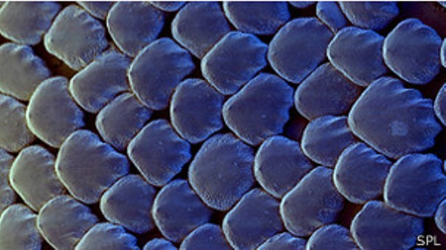 Imagen foto_00000001