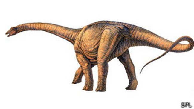 Imagen foto_00000002