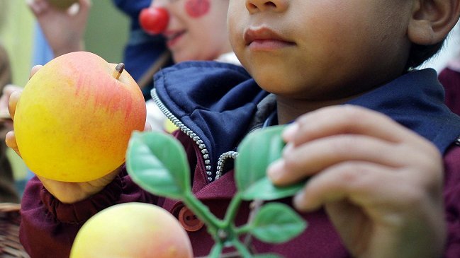 América Latina entre la desnutrición y la obesidad