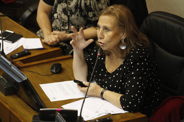 Ministra de Salud defiende programa 