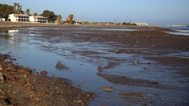 Greenpeace calificó de 