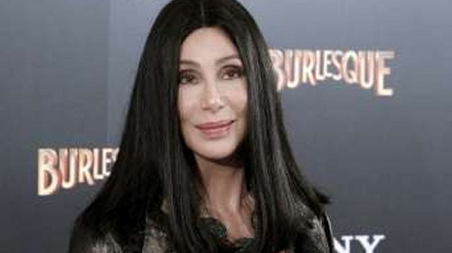 Cher reclamó a Fernández por el estado de salud de un oso polar