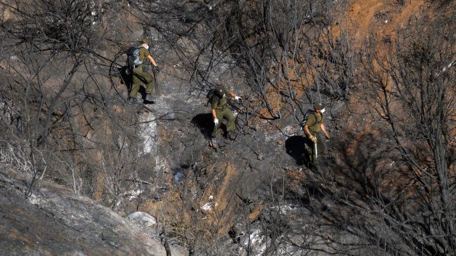 Informe técnico descartó que tragedia de Valparaíso haya sido provocada por jotes