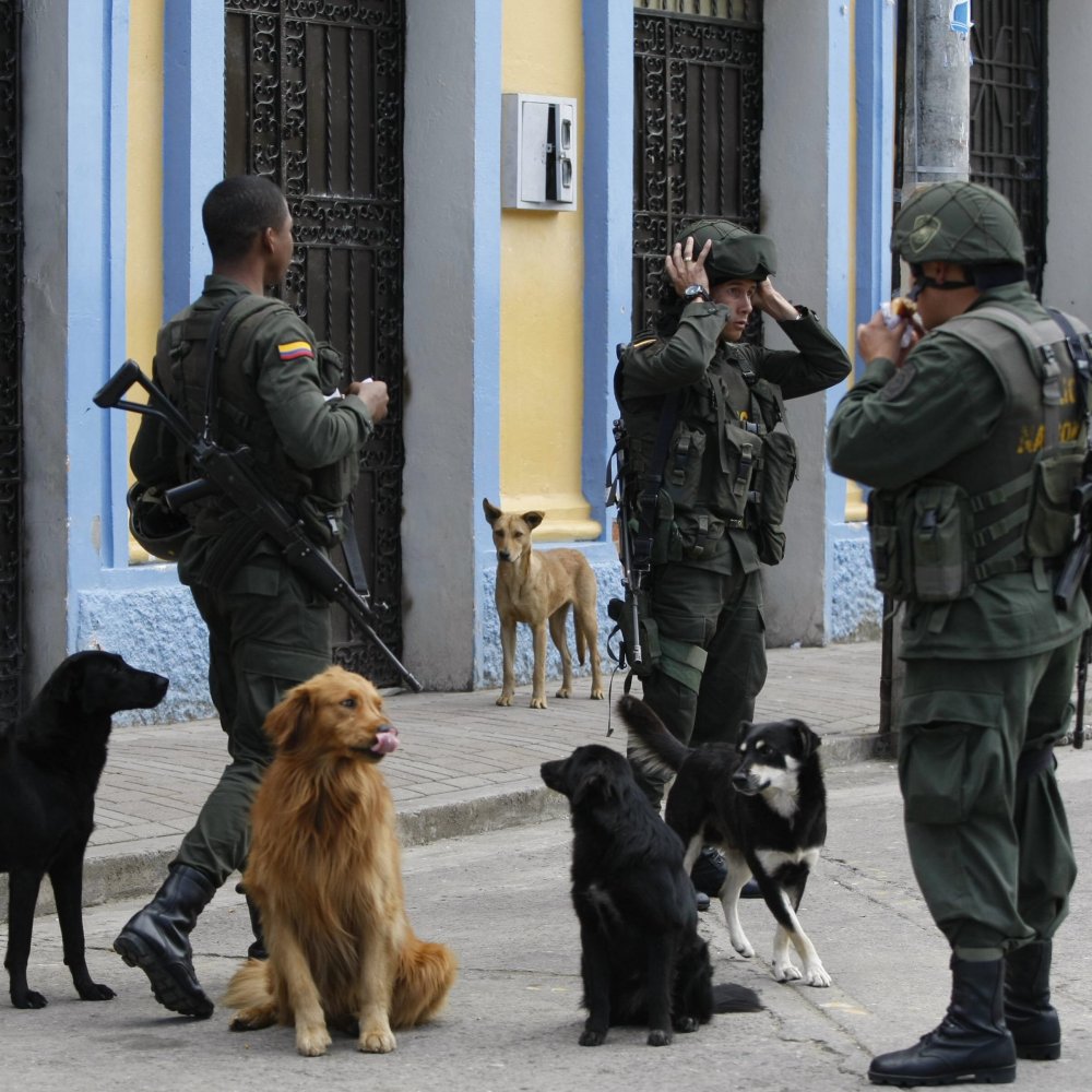 Fue secuestrada la hija de un jefe de la Policía colombiana