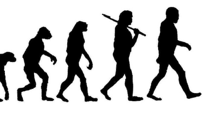 Teoría de la evolución será obligatoria en la educación secundaria de Israel