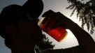 Comisiones analizarán indicaciones a proyectos que reforman comercialización de alcohol