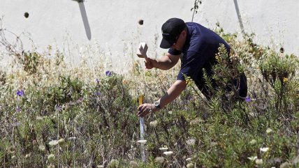   Policías realizan excavaciones en busca de Madeleine McCann en Portugal 