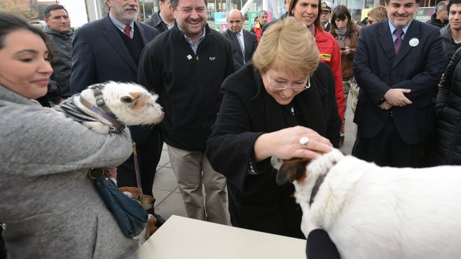 Presidenta lanzó campaña de tenencia responsable de mascotas