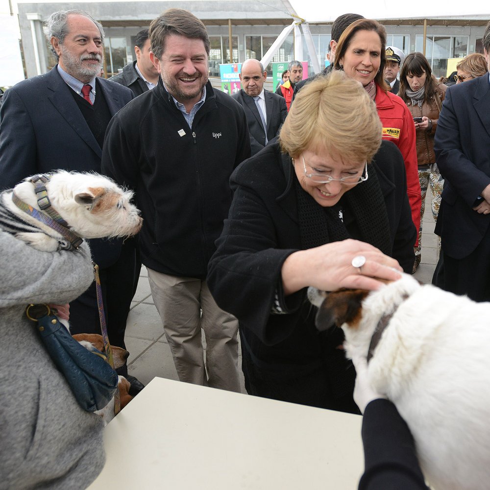 Presidenta lanzó campaña de tenencia responsable de mascotas