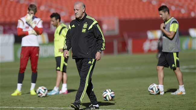 Vicente del Bosque: Lo normal sería no ganar el Mundial