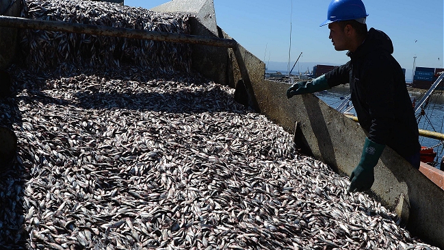 Chile firmará acuerdo internacional para proteger pesca en alta mar