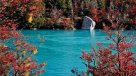 Voz de la Patagonia: Se impuso la voluntad de los ambientalistas