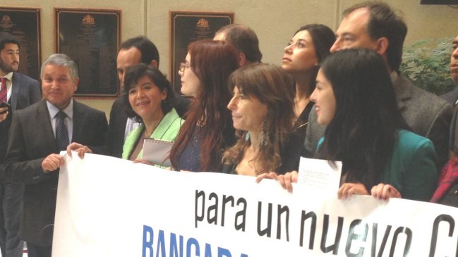 Provoste carga contra 