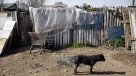 Los ecos del informe de la OCDE sobre la desigualdad en Chile
