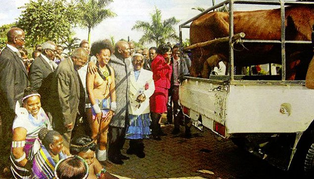 Imagen foto_00000015