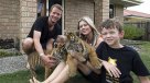 Cómo es vivir con dos tigres dentro de tu casa