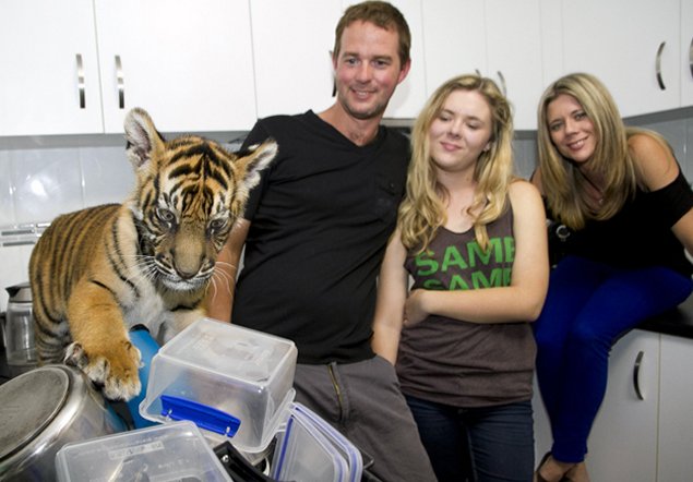 Imagen foto_00000016