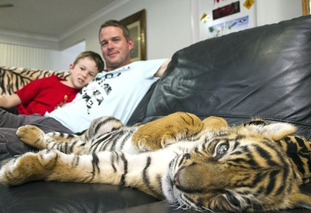 Imagen foto_00000018