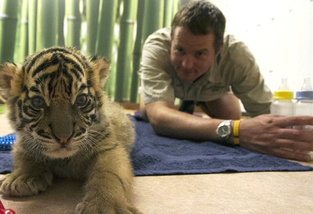 Imagen foto_00000019