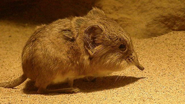 Científicos descubrieron 