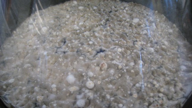 ¿Cómo enfrentar la resistencia a los antibióticos?