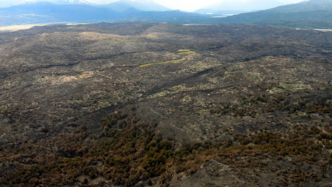 MOP evalúa concesionar parques nacionales