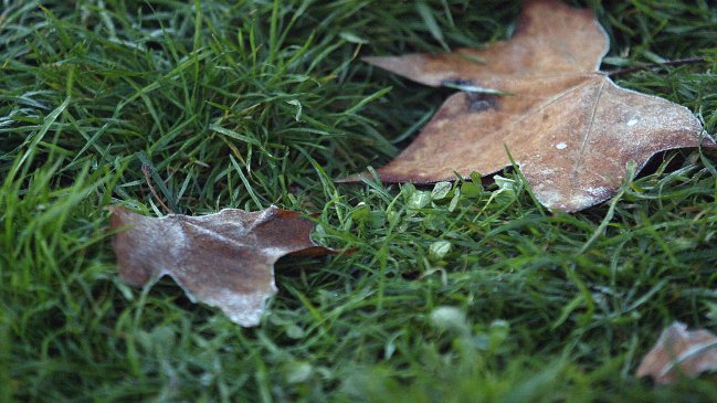 Meteorología prevé heladas para este jueves en la zona central tras precipitaciones