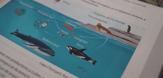 Lago Chungará: Texto escolar ubica orcas y ballenas en pleno Altiplano