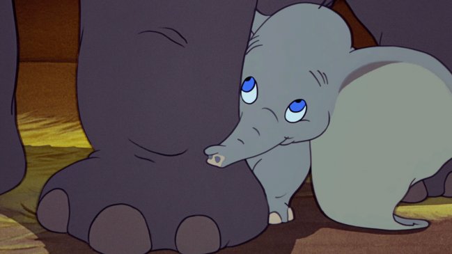 Preparan nueva versión de 