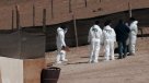 Chatarrero encontró cadáver de mujer carbonizada escondido en cerro de Arica