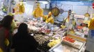 Oceana exigió transparentar los antibióticos que colocan al salmón chileno