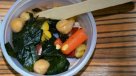 Universidad de Magallanes creó recetas a base de algas para combatir sobrepeso